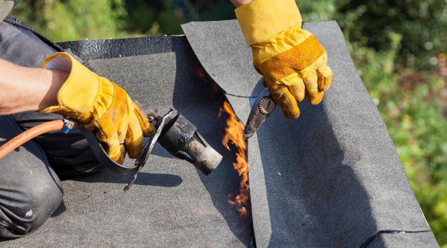 Local Siding Services in Cosby, TN